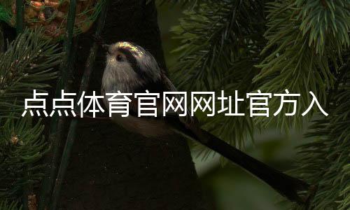 点点体育官网网址官方入口与新手指南：注册登录、充值提现与安全性解析