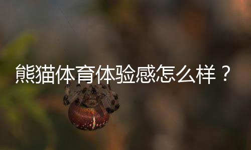 熊猫体育体验感怎么样？真实体验评测、优缺点与新手使用攻略