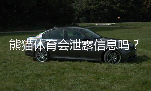熊猫体育会泄露信息吗？真相解析与用户隐私防护攻略