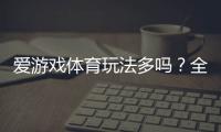 爱游戏体育玩法多吗？全方位解析玩法种类、规则与新手投注攻略