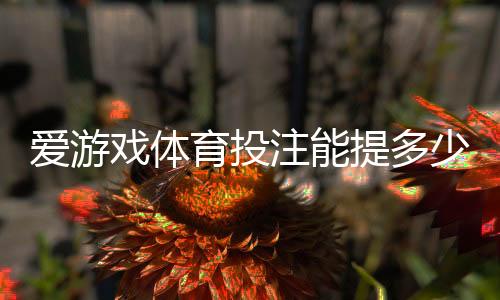 爱游戏体育投注能提多少钱？提现额度、到账时间与手续费全解析
