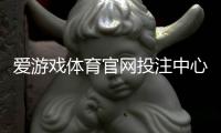 爱游戏体育官网投注中心怎么玩？注册入门、充值提现与投注玩法全面攻略