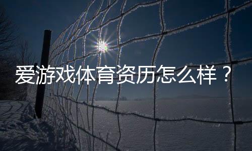 爱游戏体育资历怎么样？2026年平台资质、监管与安全全面解析
