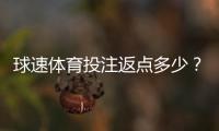 球速体育投注返点多少？揭秘高返点活动与实战技巧