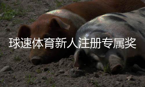 球速体育新人注册专属奖励：首存礼包与高额返水等你拿