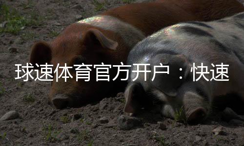 球速体育官方开户：快速注册指南与独家优惠活动