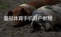 皇冠体育手机开户教程：新手注册步骤、实名认证与充值注意事项全面解析