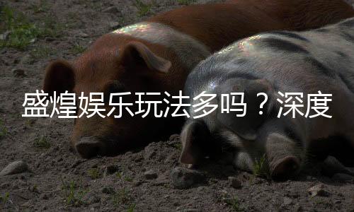 盛煌娱乐玩法多吗？深度解析其丰富游戏选择与特色玩法
