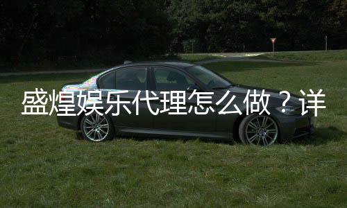 盛煌娱乐代理怎么做?详细申请流程与收益解析