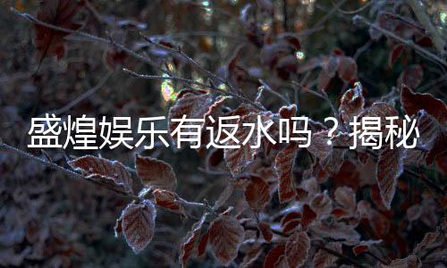 盛煌娱乐有返水吗？揭秘返水比例与领取攻略