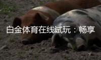 白金体育在线试玩：畅享刺激的棋牌娱乐体验