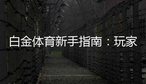 白金体育新手指南：玩家必备攻略