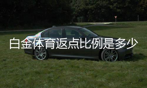 白金体育返点比例是多少？揭秘返点政策