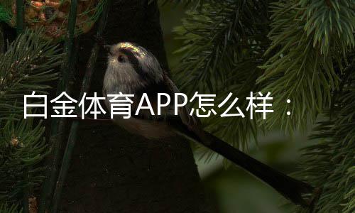 白金体育APP怎么样：专业玩家亲身体验