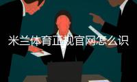 米兰体育正规官网怎么识别？官方入口、注册登录与安全验证详解