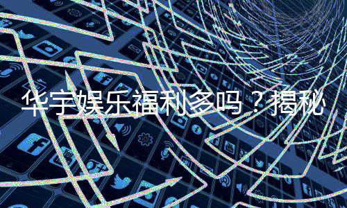 华宇娱乐福利多吗？揭秘会员优惠与惊喜彩蛋