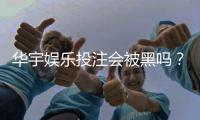 华宇娱乐投注会被黑吗？资深玩家揭秘平台安全性与防黑技巧