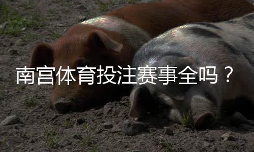 南宫体育投注赛事全吗?赛事覆盖、更新频率与投注种类全面解析