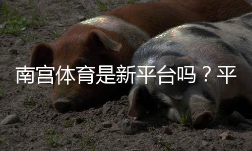 南宫体育是新平台吗？平台背景、可靠性与新手指南全解析