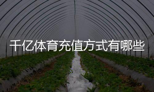 千亿体育充值方式有哪些：详细介绍支付方式