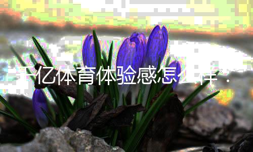 千亿体育体验感怎么样：赢取无限乐趣