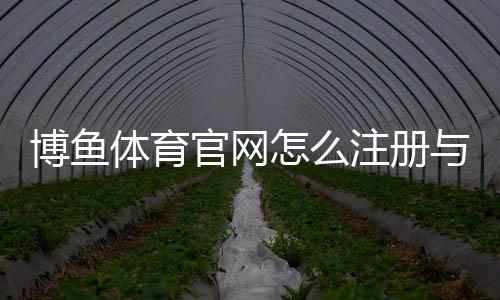 博鱼体育官网怎么注册与登录？官网入口、充值提现与优惠活动完整指南