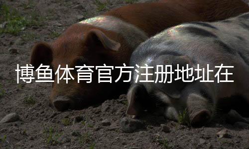 博鱼体育官方注册地址在哪？最新官网入口与快速注册教程