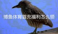 博鱼体育首充福利怎么领？最新领取攻略、优惠规则与注意事项