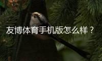 友博体育手机版怎么样？功能、玩法、安全性与真实用户体验全面评测