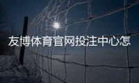 友博体育官网投注中心怎么玩？新手注册、充值与投注全流程教学