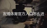 友博体育官方入口怎么进？新手注册、登录与安全验证详细教程