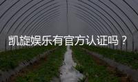 凯旋娱乐有官方认证吗？权威认证信息全解析