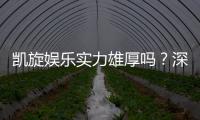 凯旋娱乐实力雄厚吗？深度解析其平台优势与玩家真实评价