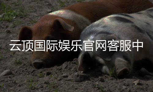 云顶国际娱乐官网客服中心：专业服务与高效解决方案指南