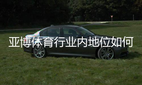 亚博体育行业内地位如何？2026最新市场份额、竞争力与发展前景深度解析