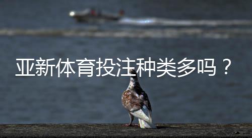 亚新体育投注种类多吗？一文看懂各类玩法与新手投注攻略