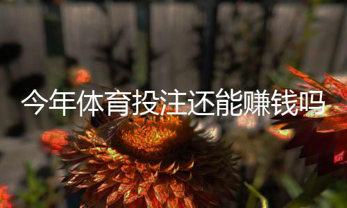 今年体育投注还能赚钱吗？盈利概率、主要风险与实用策略一文看懂