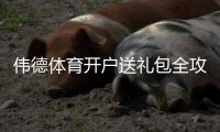 伟德体育开户送礼包全攻略：领取步骤、优惠规则与注意事项