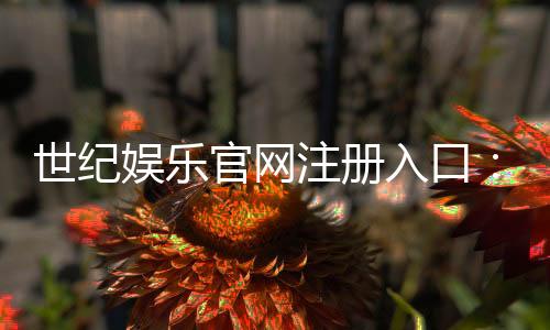 世纪娱乐官网注册入口：轻松三步完成账号注册畅享游戏