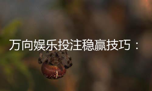 万向娱乐投注稳赢技巧：资深玩家揭秘三大长效盈利策略