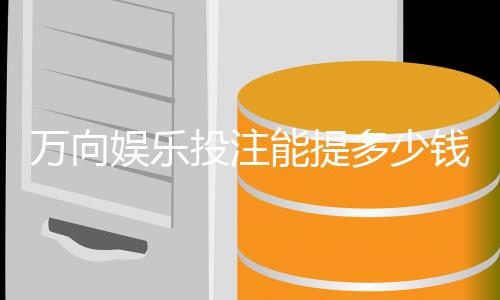 万向娱乐投注能提多少钱？揭秘提款规则与到账时间