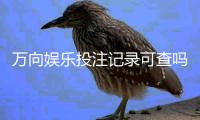万向娱乐投注记录可查吗？一文详解查询方法与平台安全性
