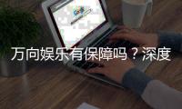 万向娱乐有保障吗？深度解析平台安全与信誉