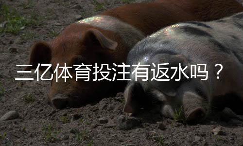 三亿体育投注有返水吗？官方返水规则、返利比例与领取领取攻略
