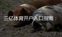 三亿体育开户入口指南：注册流程、实名认证与安全注意事项