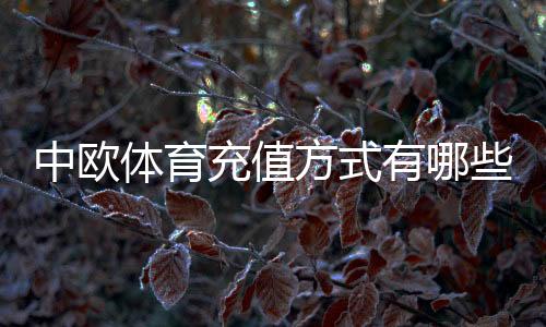 中欧体育充值方式有哪些？支持渠道、充值步骤与安全注意事项全解析