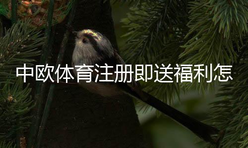 中欧体育注册即送福利怎么领？新人注册流程、优惠详情与注意事项
