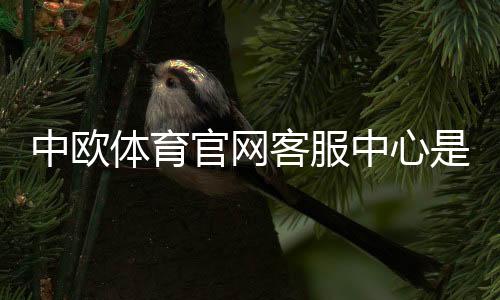 中欧体育官网客服中心是什么？联系方式、服务项目与常见问题全解析