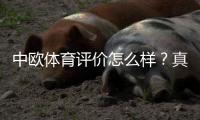 中欧体育评价怎么样？真实用户口碑、平台信誉与风险全面解析
