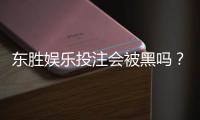 东胜娱乐投注会被黑吗？深度解析平台安全性与防黑技巧